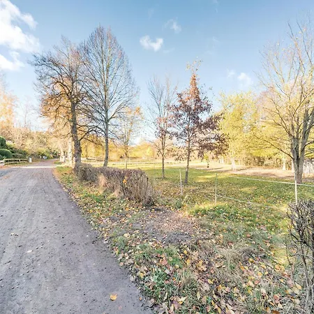 Comely In G Ntersberge Near Forest * Guntersberge