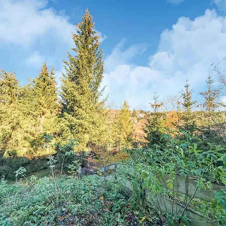 Comely In G Ntersberge Near Forest *