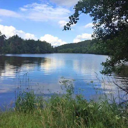 Comely In G Ntersberge Near Forest *