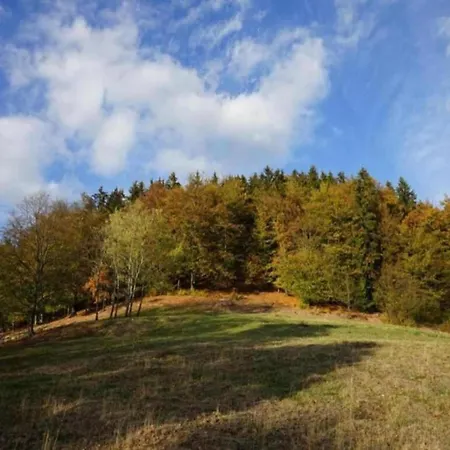 Holiday home Comely In G Ntersberge Near Forest *