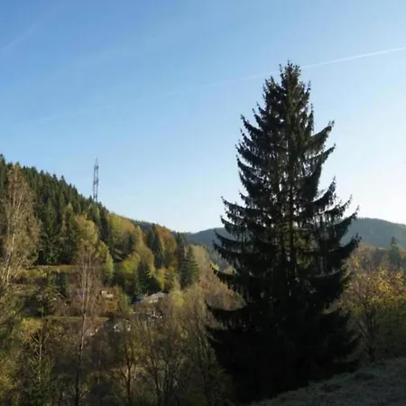 Comely In G Ntersberge Near Forest Güntersberge