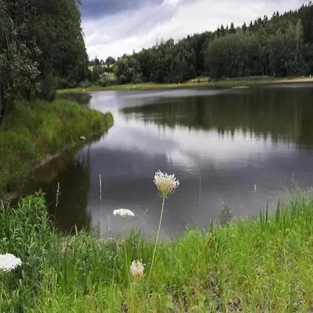 Comely In G Ntersberge Near Forest